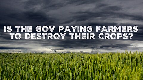 GOV PAYING FARMERS TO DESTROY CROPS