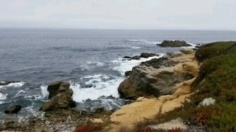 Monterey & Pacific Grove CA - Collage and Live Video