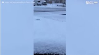 Une bataille de neige à l'issue douloureuse