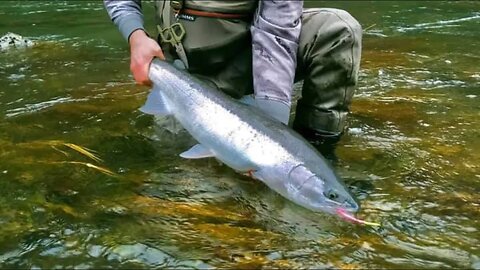 How-To SPOON FISHING For Salmon, Trout, & Steelhead. (COMPLETE GUIDE!) 