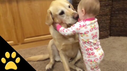 Funny Baby Playing With Dog.