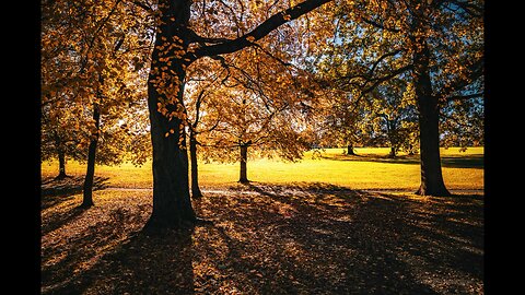 Autumn Scenes Abington Park Northampton UK