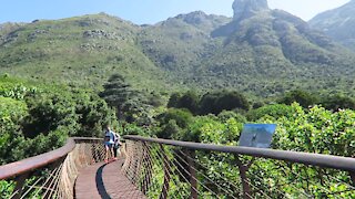 SOUTH AFRICA - Cape Town - Kirstenbosch National Botanical Garden (Video) (2Mc)