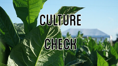 Culture Check Ep. 1: Will McPhaul