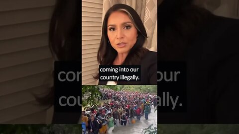 Tulsi Gabbard Slams Biden/Harris Administration over Border Security Hypocrisy