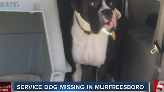 Missouri Family Searching For Missing Service Dog