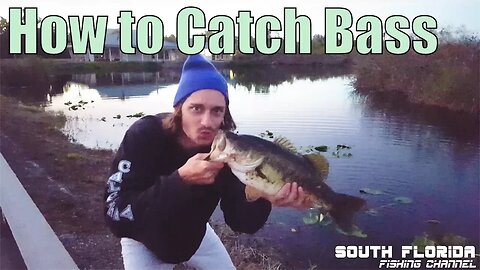 How to Catch a Big Bass | Florida Everglades National Park