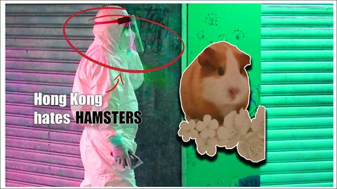 Hong Kong Hamster Massacre