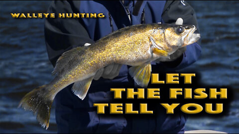 The Mindset of Hunting Walleye