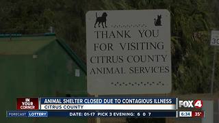 Florida animal shelter closes becaue of a strep like virus