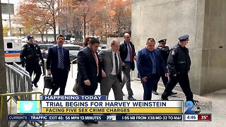 weinstein