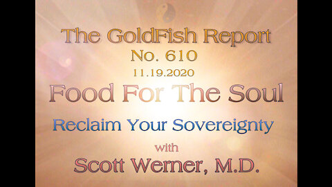 The GoldFish Report No. 610 Reclaim Your Sovereignty w/ Scott Werner, M.D.