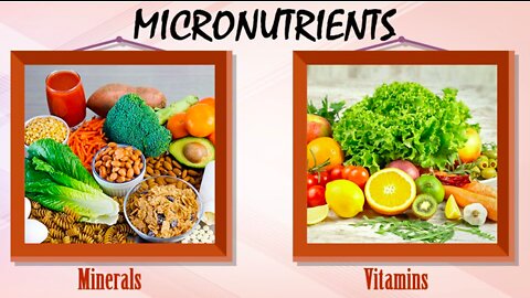 Micro-nutrients , Minerals and Vitamins basic knowledge