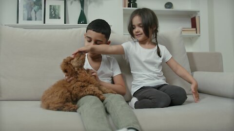 Boy and girl playing with a dog