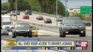 New effort supports undocumented immigrants getting driver's licenses in Florida