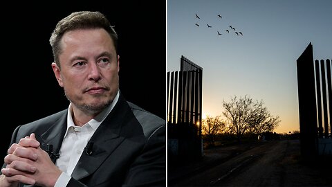 Elon Wants a Border Wall, Online Grifters Exposed (Episode #75)