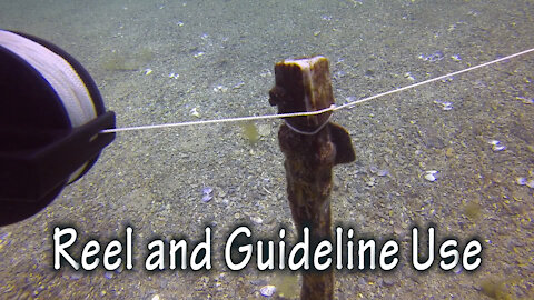 Diving Skills - Reel and Guideline Use