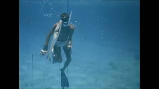 Freediving Diver Spearfishing Barracuda in 1960s Cozumel Mexico Silent Film