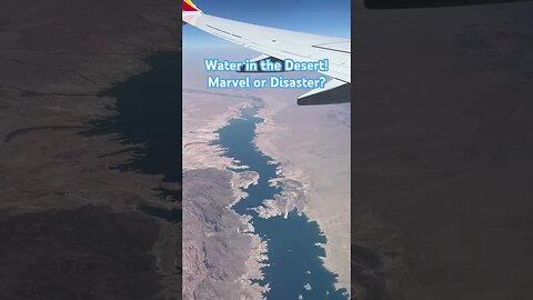 Unbelievable: Desert Transformed into Epic Water Wonderland #shorts
