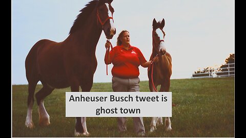 Anheuser Busch Clydesdales ad flops getting 1 comment in 7 hours