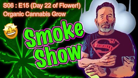 S06 E15 (Day #99) || Day 15 of Flower || Still no SKMELL! || Season 5 Skunk / Kush SMOKE REVIEW