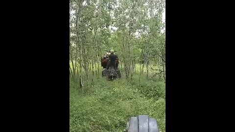 Tree climbing atv