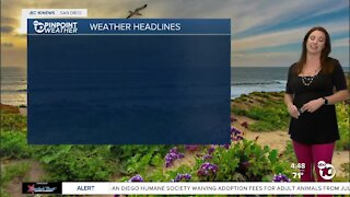 ABC 10News Pinpoint Weather with Meteorologist Megan Parry