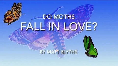 Do Moths Fall in LOVE?