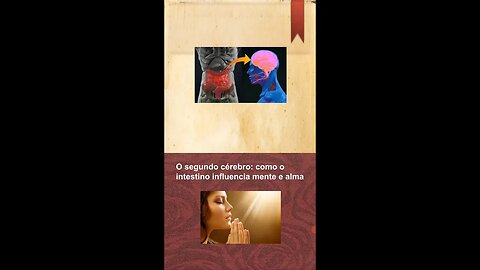 O mistério do segundo cérebro: desvendando a influência intestinal na saúde mental