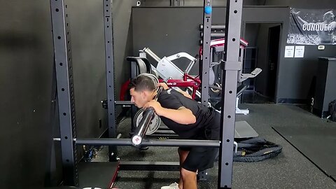 Barbell Low Pin Good Mornings (Near Parallel)