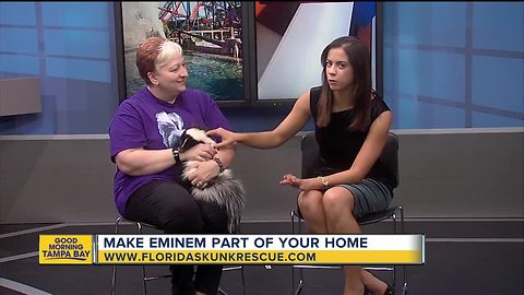 Rescues in Action: Eminem the Skunk