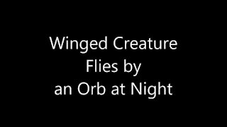 Winged Creature Flies By Orb At Night