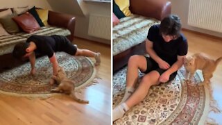 Cat Attacks Owner Every Time He Tries To Work Out