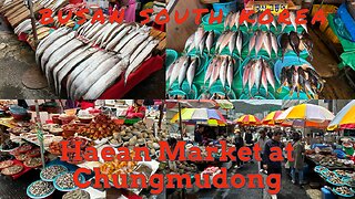Chungmu-dong Coastal Market and Haean Market at Chungmudong - Seafood Markets - Busan South Korea