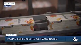 Chobani Paying Employees to Get COVID-19 Vaccinations