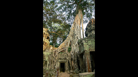 Cambodia's Temple Kingdom