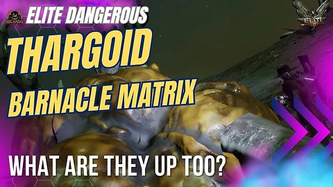 Thargoid Barnacle Matrix | What are the Thargoids Up too? || Elite Dangerous