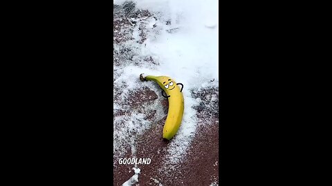 banana operation