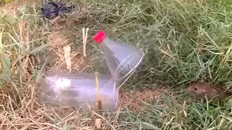 How To Build a simple Mousetrap