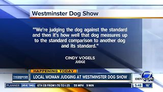 Colorado woman judging at Westminster Dog Show