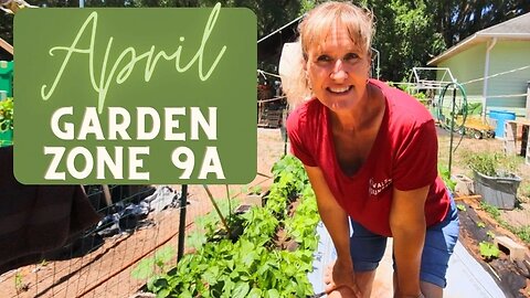 April Container Garden Tour | Garden Zone 9A