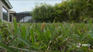 Fort Myers couple warns of pool contractor trouble