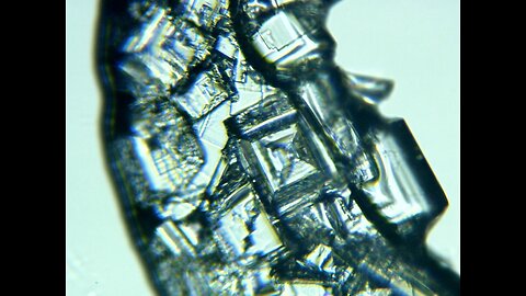 Saline evaporating & crystallizing under a microcope