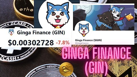 Ginga Finance (GIN) new coin current value $0.00302728