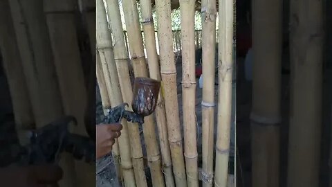 Spray Bamboo painting