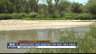 Mosquitoes test positive for West Nile Virus in Canyon County