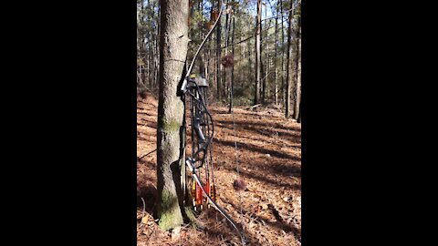 $100 Recurve Bow (Better then Expected!)