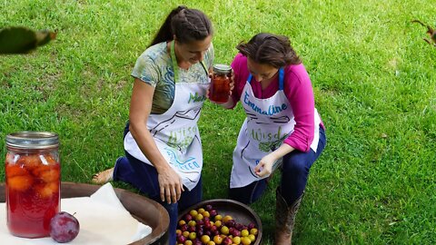 How to Preserve Whole Plums [Food Preservation] [Canning Tutorial]