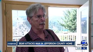 Jefferson County couple uses fists, baseball bat to fight off mother bear, cub that broke into home