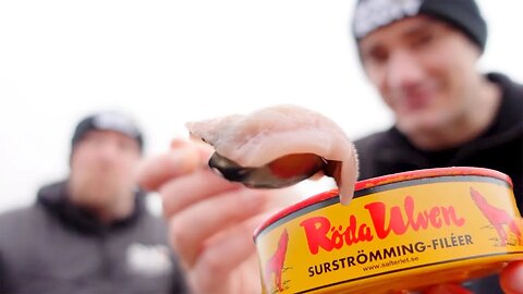 Brits Try Eating Surströmming (STINKY FISH CHALLENGE 2022)